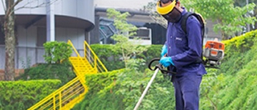 Jardinagem e Áreas Verdes